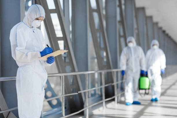Best Commercial Mold Inspection  in Marlinton, WV