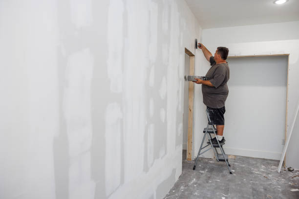 Best Mold Remediation for Vacation Homes  in Marlinton, WV