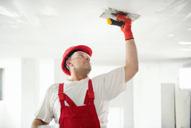 Best Industrial Mold Remediation  in Marlinton, WV